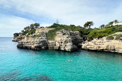 Cala en Blanes: Secret spots for the best dives with a local guide