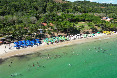 Frades Island: Boat tour with live music