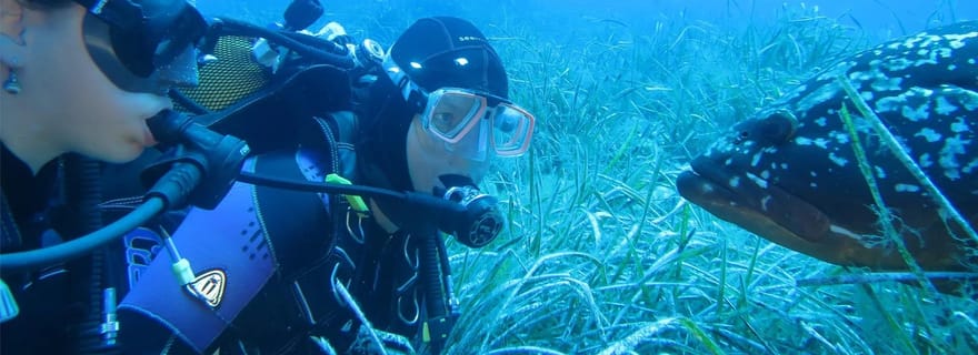 Marina di Campo : essayez la plongée sur l'île d'Elbe.