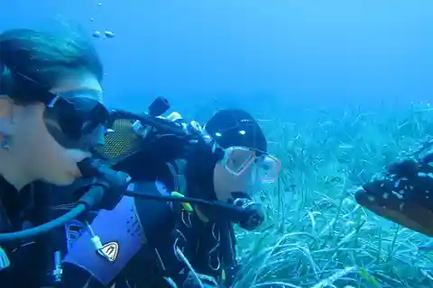 MARINA DI CAMPO: DIVING ON THE ISLAND OF ELBA AND PIANOSA