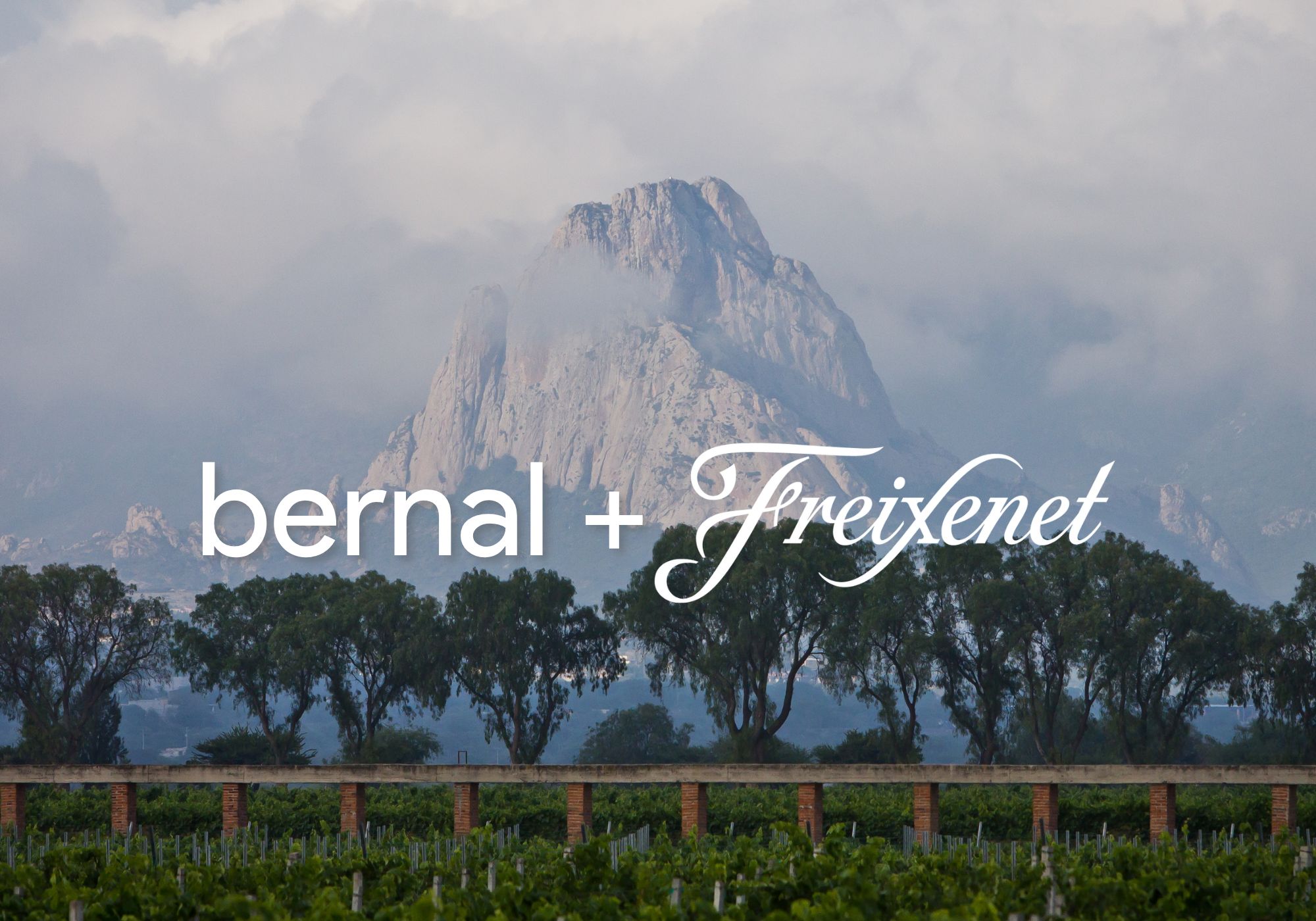 Querétaro: Peña de Bernal und Cavas de Freixenet
