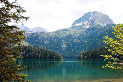 From Tivat: Montenegro Canyons and National Parks Day Trip From Tivat Centar 2: Black Lake, Durmitor, Djurdjevića Tara