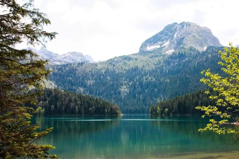 From Tivat: Montenegro Canyons and National Parks Day Trip From Tivat Centar 2: Black Lake, Durmitor, Djurdjevića Tara