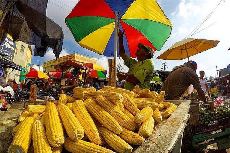 Cartagena: tour guidato del mercato di Bazurto con pranzo e trasferimentoCartagena: tour guidato al mercato di Bazurto con pranzo e trasferimento