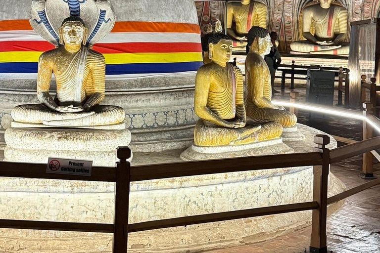 From Colombo: Dambulla, Sigiriya, and Jeep Safari Day Trip