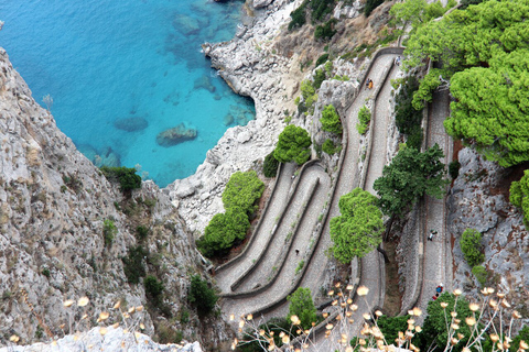 Sorrento: Tour guiado por Capri, Anacapri e Gruta Azul