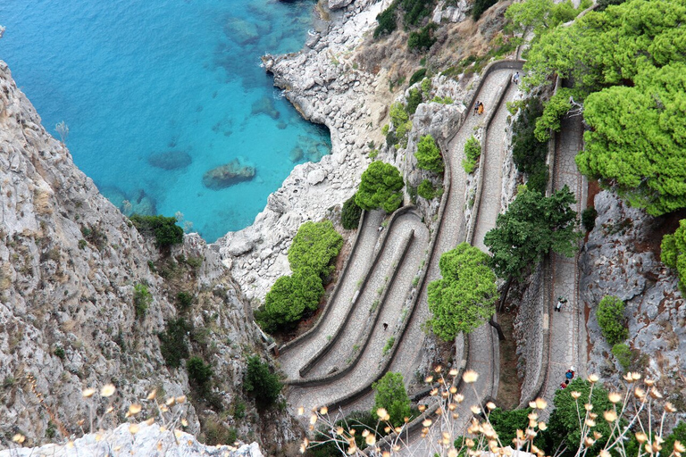 Sorrento: Capri, Anacapri och Blå Grottan Guidad tur