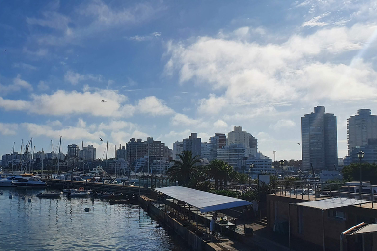 City Tour in Punta del Este: Unforgettable Adventure with Treasure Hunt!