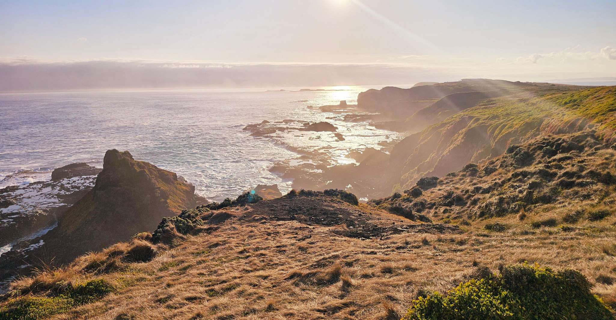 Melbourne: Boutique Phillip Island Wine, Dine & Penguin Tour photo 14