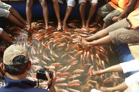 Enjoy a relaxing boat ride in Madu River