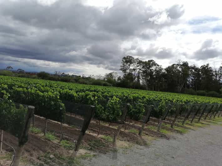 quer-taro-haciendas-vineyards-and-magical-towns-day-trip-getyourguide