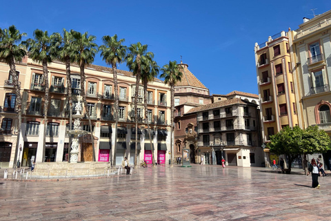 Málaga: Oude Tour Wandeltour met/Kathedraal &amp; Picasso Museum