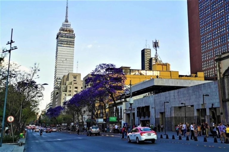 Guía privado de la Ciudad de México: Personaliza tu experiencia