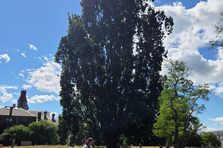 Boston by Train to Salem History Tour: Option to Stay & Play