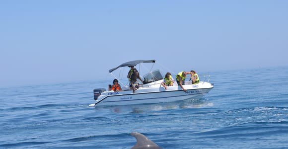 Djerba: Dolphin-Watching Speedboat Tour in Turquoise Waters