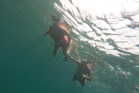 Pafos: Observación de tortugas con esnórquel en moto de mar