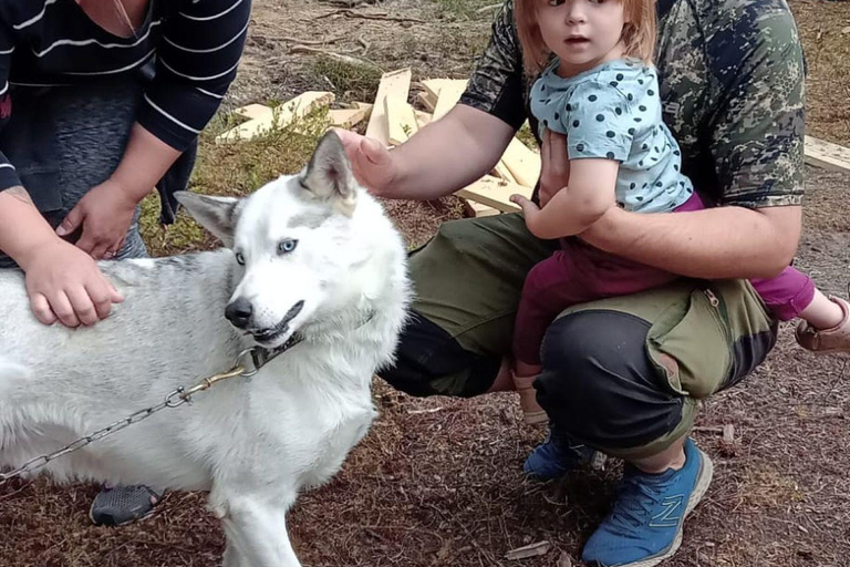 Levi: 2 KM Husky Sledding with wheels