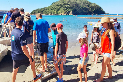 Isla de las Cabras: Tour en barco con fondo de cristal