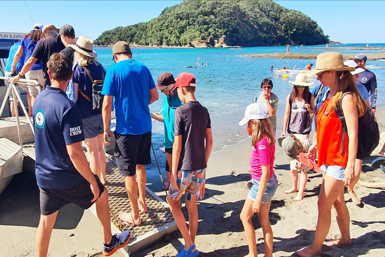 Isla de las Cabras: Tour en barco con fondo de cristal