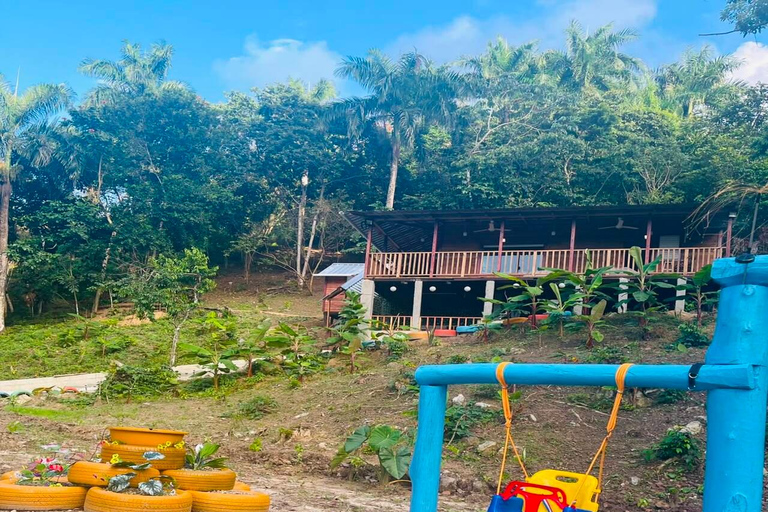 Puerto Plata: Coffee Plantation and Cacao Farm Tour