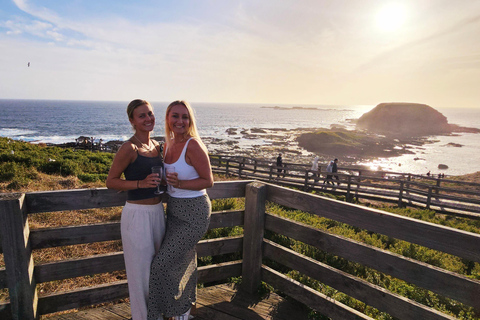 Phillip Island: Wine, Wildlife &amp; Penguins with Gourmet Feast