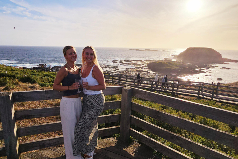 Phillip Island: Wine, Wildlife & Penguins with Gourmet Feast