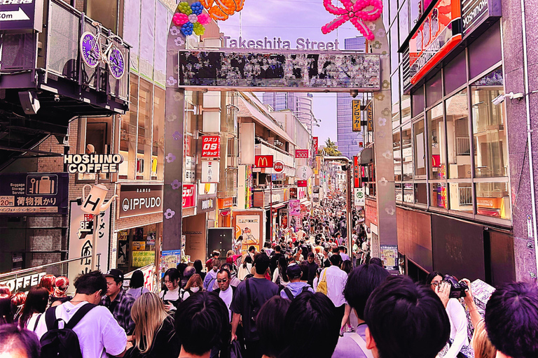 Tokyo: Customized Private Guided Tour in French Private French-speaking live guide in Tokyo Half-day