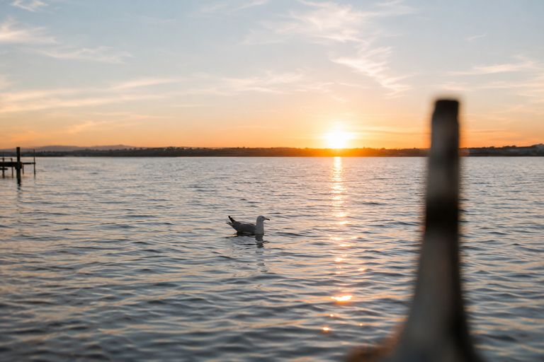 3x1 Torrevieja Pack - Cruise Tour + Drink at the Cruise Port + Sunset at the Salinas 2x1 Pack: Cruise Tour with Swim in the Sea + 30-Minute Jet Ski