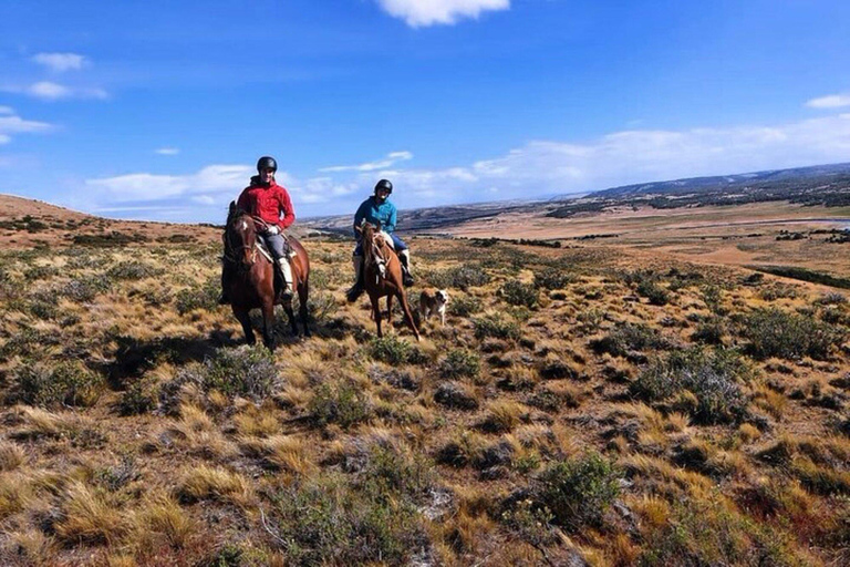 Laguna Blanca: Estancia Tour with Lamb Lunch