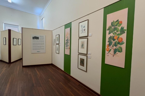 Follow the wildflower trail from Perth to New Norcia