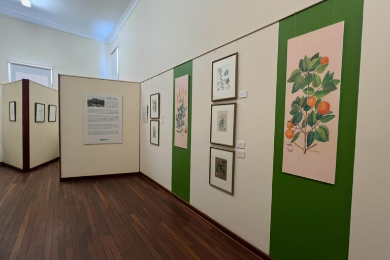 Follow the wildflower trail from Perth to New Norcia