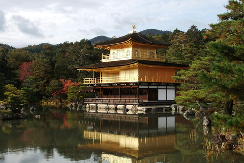 Osaka: Excursión de un día a Kioto en Shinkansen - Perfecto para cruceros