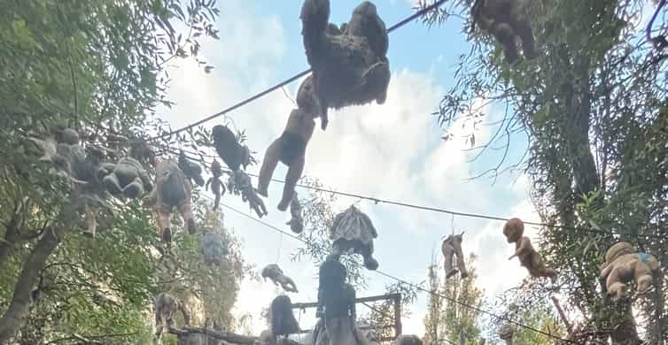 Xochimilco : Island of the dolls, tequila and mezcal CDMX photo 12