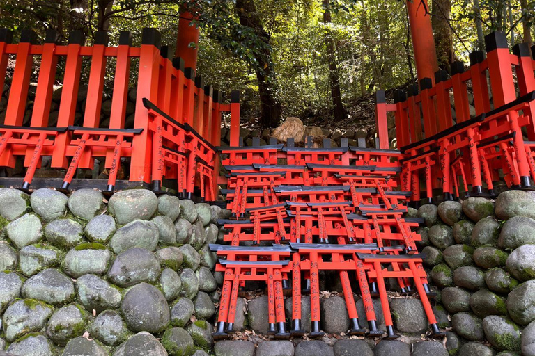 Depuis Osaka/Kyoto : Excursion d&#039;une journée à Kyoto, Nara et Fushimi InariDepuis Osaka/Kyoto : Excursion privée d&#039;une journée à Kyoto et Nara