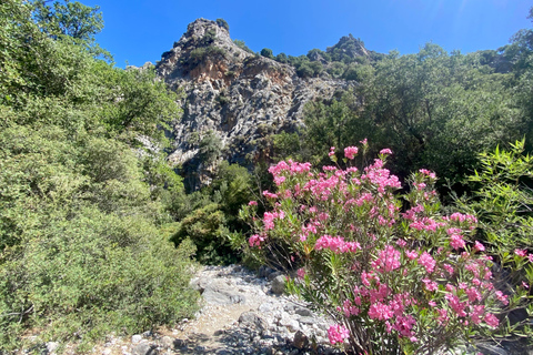 Creta: Tour guiado de senderismo por el Cañón de Kritsa