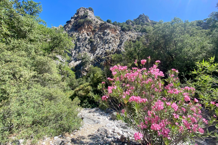Creta: Tour guiado de senderismo por el Cañón de Kritsa