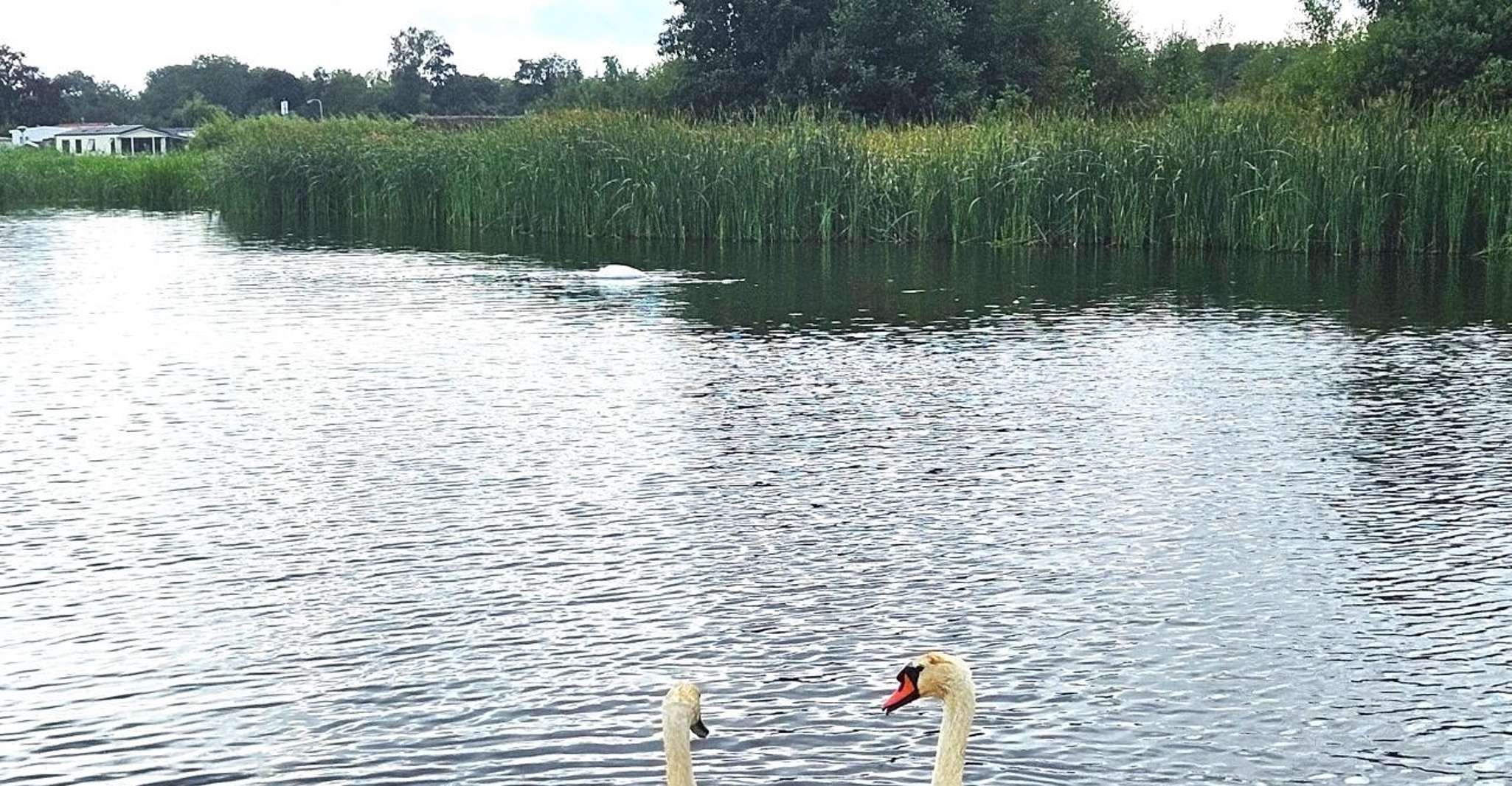 Amsterdam to Giethoorn & Zaanse Schans Small Group w/ Pickup photo 17