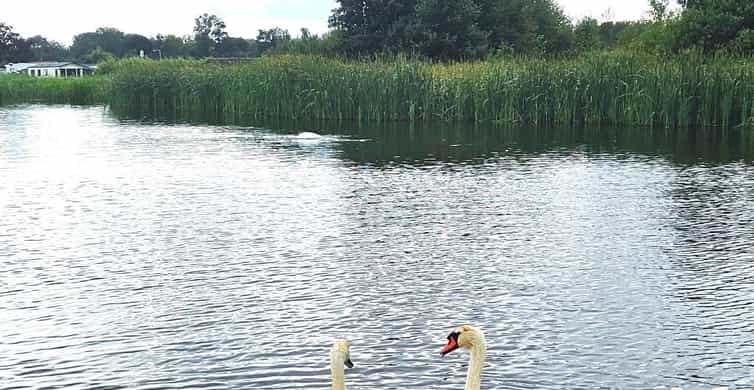 Amsterdam to Giethoorn & Zaanse Schans Small Group w/ Pickup photo 17