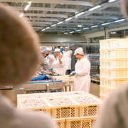 Matosinhos: Conservas Pinhais Factory Tour