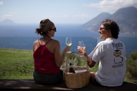 Lipari, Picnic in the Vineyard - Housity
