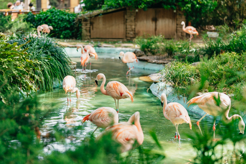 Barcelona: 1-Day Ticket to Barcelona Zoo