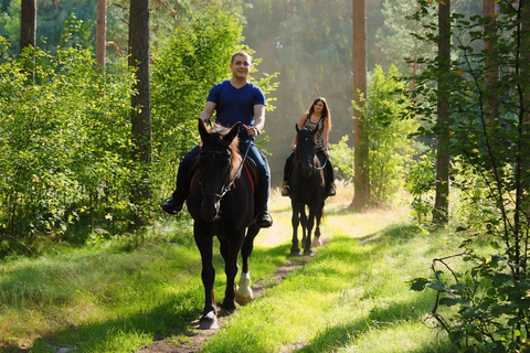 Rovaniemi : Randonnée à cheval dans la nature arctiqueRandonnée à cheval dans la nature arctique - petit groupe