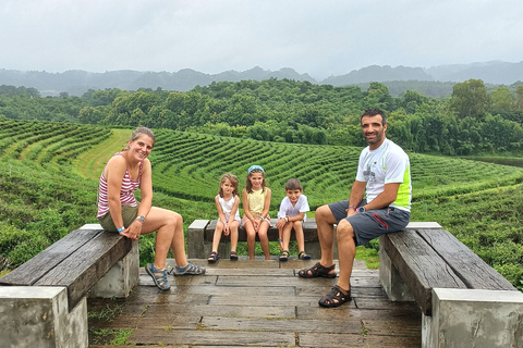 Day tour visit the top attractions in chiang rai