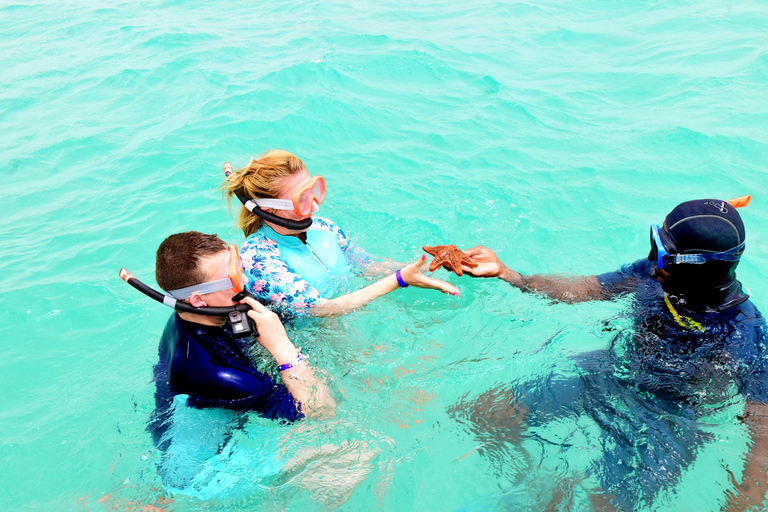 Boa Vista: Boat Excursion with Snorkeling, Shipwreck, and Djeu Island