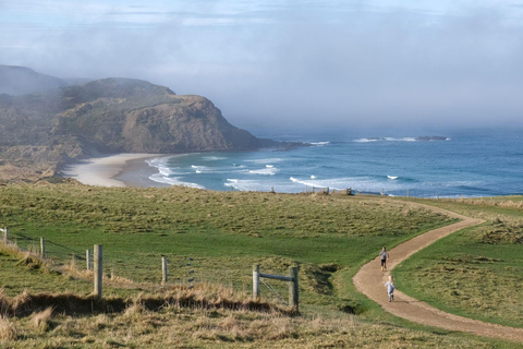 Dunedin City & Otago Peninsula Scenery Day Tour Private Tour