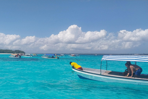 Zanzibar: Snorkeltrip naar Mnemba eiland vanuit Nungwi