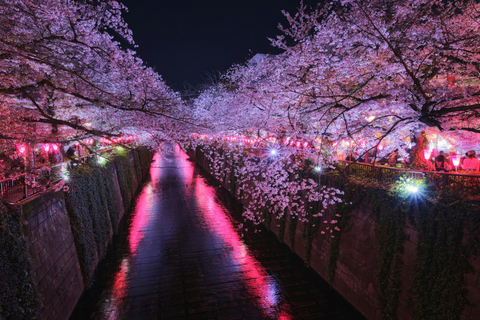 Tokyo: Nakameguro Sakura Riverside Walk with Street Stalls