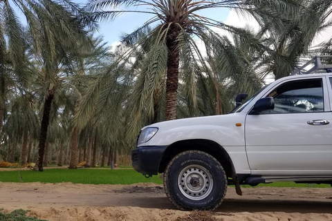 Sunset & Star Wars tour at the Ksar Ghilane oasis in a 4x4 Sunset & Star Wars tour to the oasis of Ksar Ghilane in a 4x4