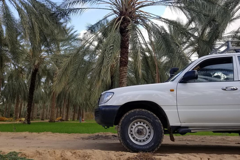 Sunset & Star Wars tour at the Ksar Ghilane oasis in a 4x4 Sunset & Star Wars tour to the oasis of Ksar Ghilane in a 4x4