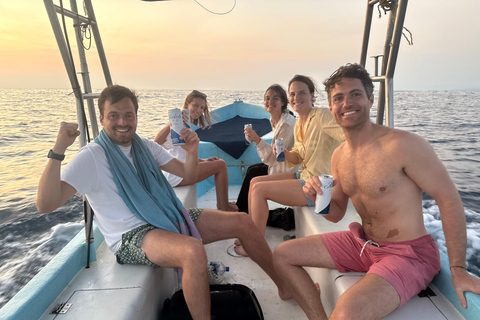 Puerto Escondido: Bootstour zu Delfinen und MeerestierenPrivate Tour